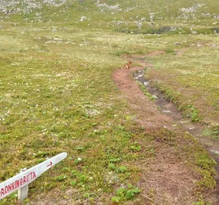 In The Former Fishing Factory Arntzen-brygga * Nyksund