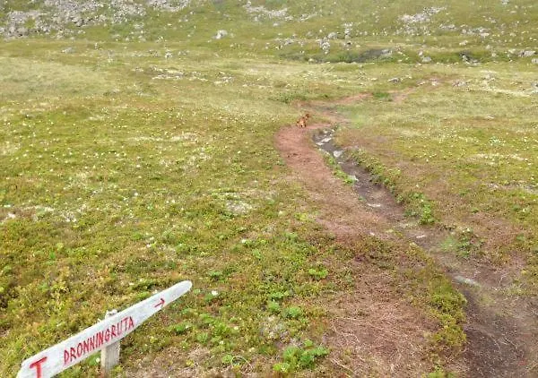 In The Former Fishing Factory Arntzen-brygga * Nyksund