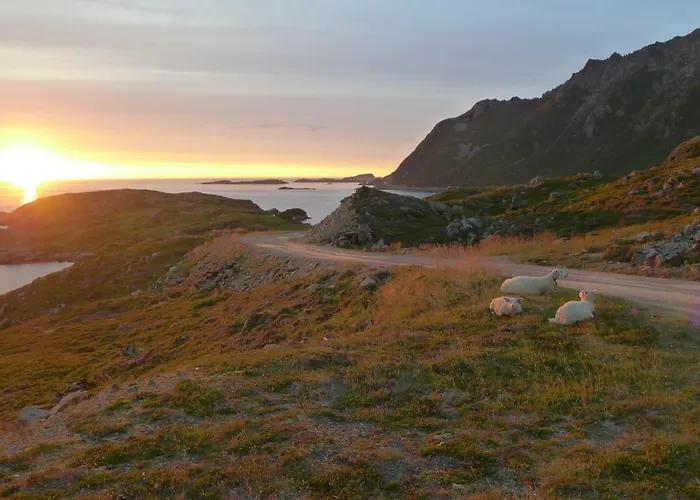 In The Former Fishing Factory Arntzen-brygga